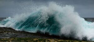 Cape Banks Crashing Wave
