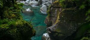 The Chasm - Milford Sound - New Zealand